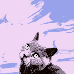 freetoedit cat paint pinkandpurple purpleandpink