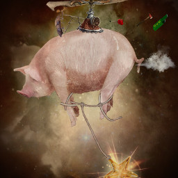 pigs stars sky empty ship freetoedit